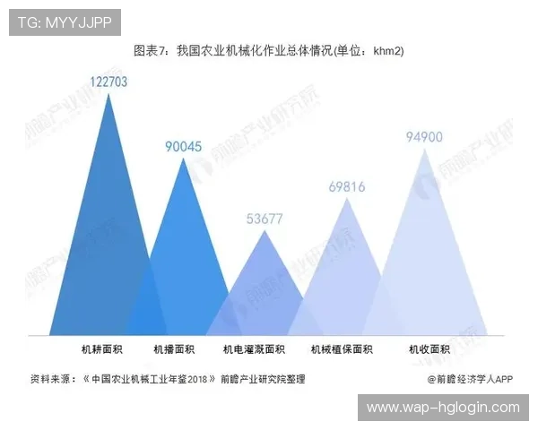 皇冠环球集团应对全球经济变化的策略与未来发展规划分析
